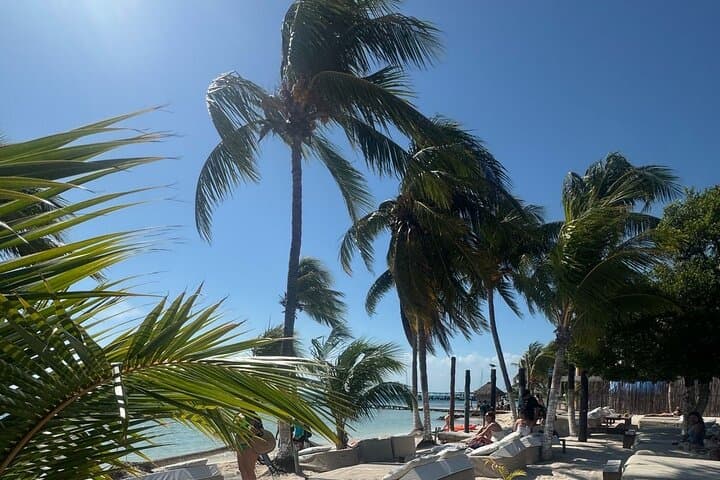 Isla Mujeres North Beach Catamaran: Snorkel MUSA, Beach Club Buffet & Open Bar
