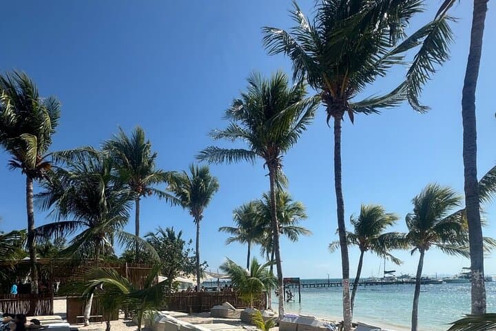 Isla Mujeres North Beach Catamaran: Snorkel MUSA, Beach Club Buffet & Open Bar photo 2