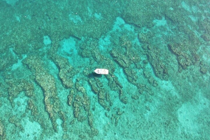 Two-Tank Reef Dive at Key Largo Marine Sanctuary — Boat Excursion to Shallow Wrecks & Coral photo 3