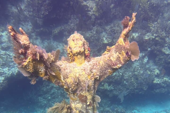 Two-Tank Reef Dive at Key Largo Marine Sanctuary — Boat Excursion to Shallow Wrecks & Coral photo 5