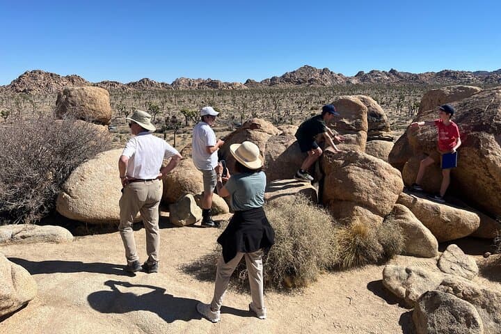 Joshua Tree Private Sightseeing Tour: Hidden Valley, Keys View & Cap Rock photo 3