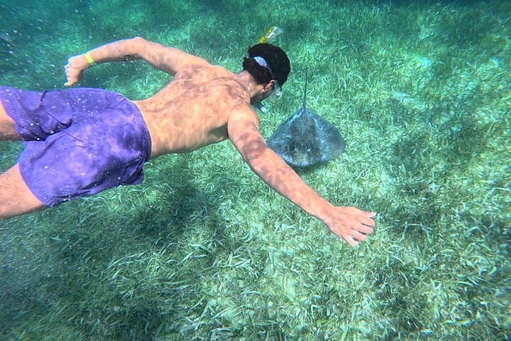Early-Morning Snorkel at Mexico Rocks and Stingray City, Ambergris Caye photo 6