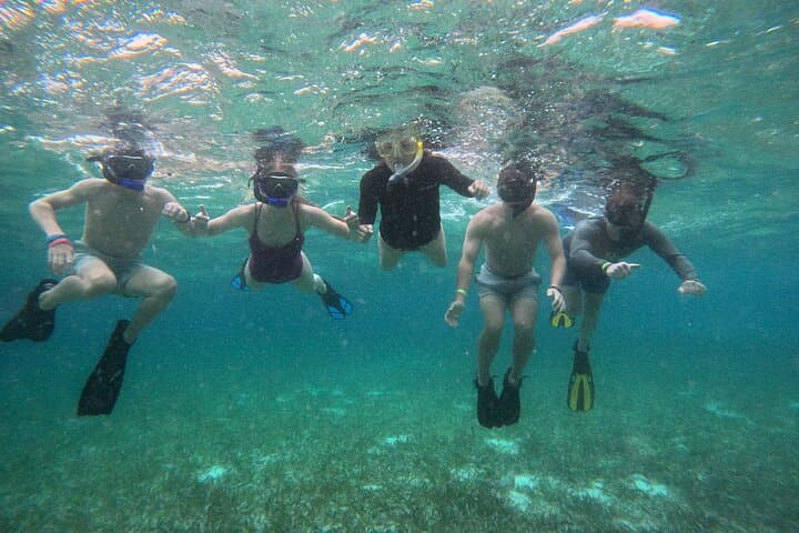 Early-Morning Snorkel at Mexico Rocks and Stingray City, Ambergris Caye