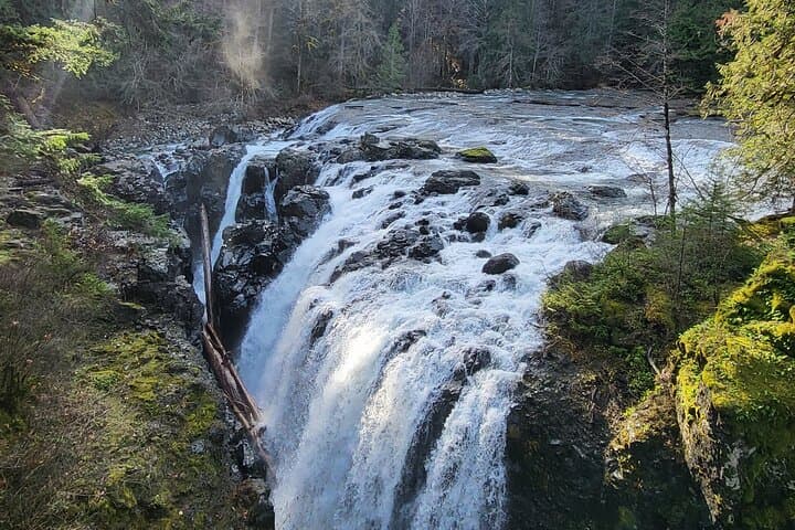 Vancouver Island Waterfalls, Old‑Growth & Wild Caves — Cathedral Grove to Horne Lake photo 4