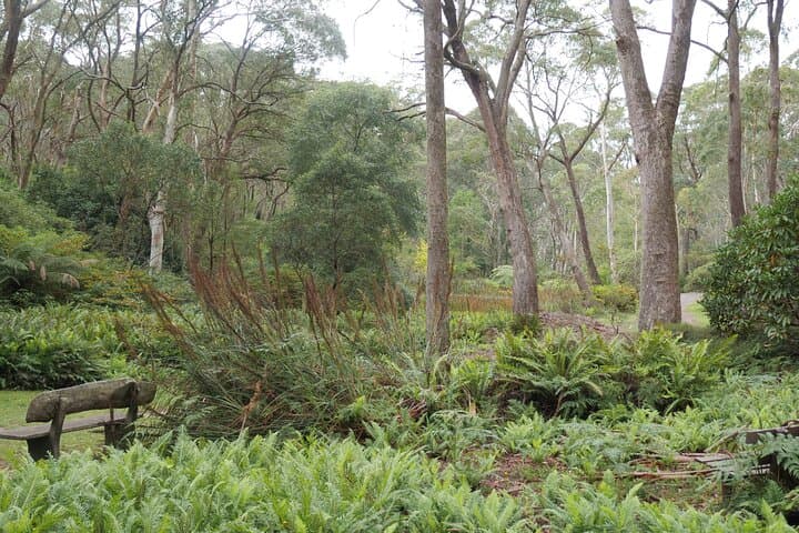 Three-Day Blue Mountains Scenic Tour from Sydney — Scenic World, Katoomba & Wildlife photo 6