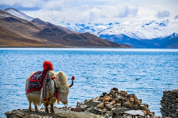 Lhasa to Kathmandu Overland via Everest Base Camp: 7-Day Tibetan Plateau Journey photo 5