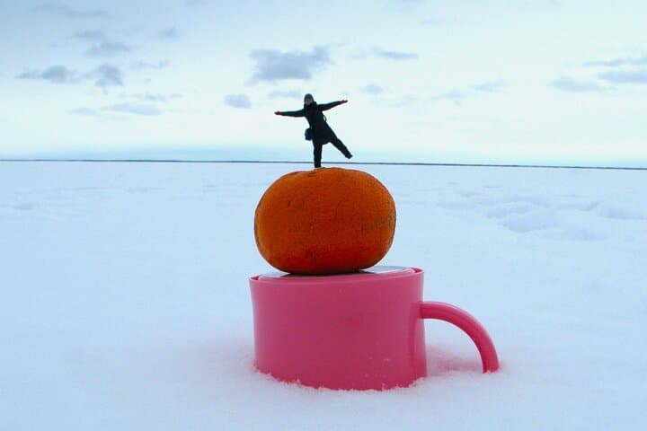 Ice Horizon Walk on Notsuke Peninsula — Walk the Frozen Sea (Jan–Mar) photo 2