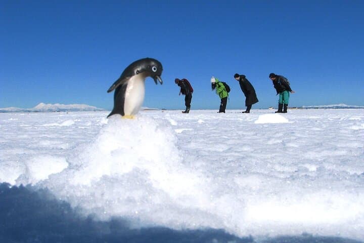 Ice Horizon Walk on Notsuke Peninsula — Walk the Frozen Sea (Jan–Mar) photo 4