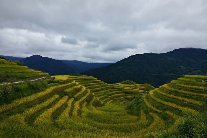 Guilin 2-Day: Longji Rice Terraces, Li River & Xianggong Hill Essentials