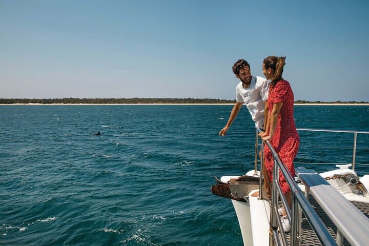 Port Stephens Dolphins and Sandboarding: Full-Day 4WD Adventure from Sydney photo 3