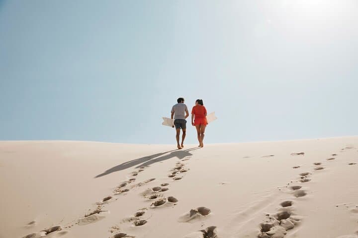 Port Stephens Dolphins and Sandboarding: Full-Day 4WD Adventure from Sydney photo 2