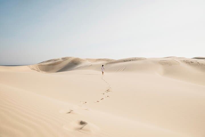 Port Stephens Dolphins and Sandboarding: Full-Day 4WD Adventure from Sydney photo 4