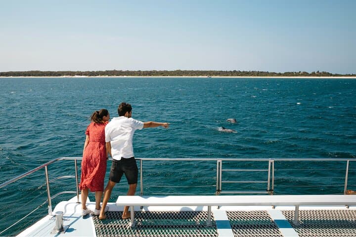Port Stephens Dolphins and Sandboarding: Full-Day 4WD Adventure from Sydney photo 6