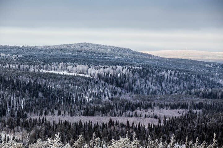 Auttikongas Canyon & 16m Waterfall Adventure — Day Hike from Rovaniemi photo 4