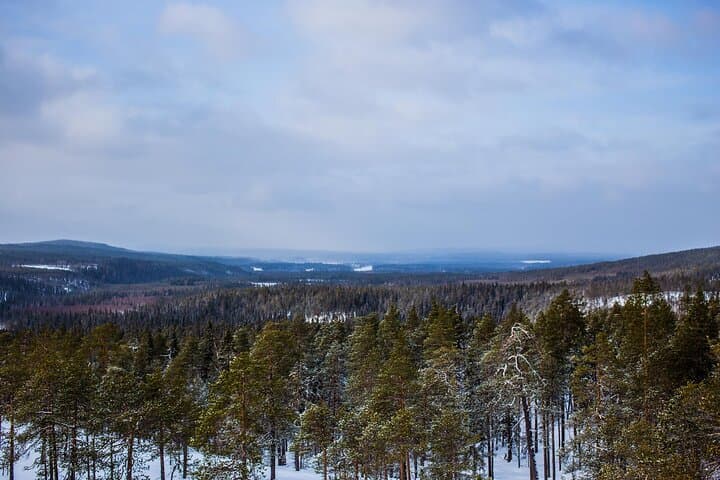 Auttikongas Canyon & 16m Waterfall Adventure — Day Hike from Rovaniemi photo 6