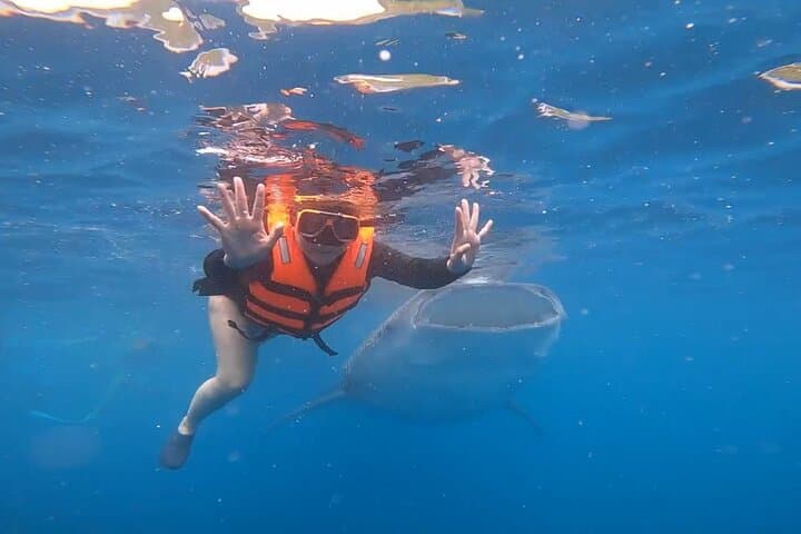 Cebu Splash Adventure: Whale Sharks & Badian Canyoneering Day Trip photo 2