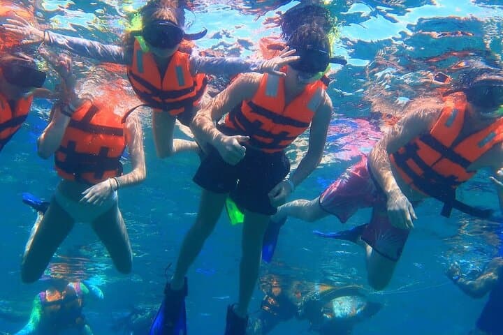 Puerto Morelos Snorkeling Tour: Explore Coral Reefs & Sea Turtles photo 5