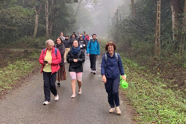 Cuc Phuong National Park Day Hike & Primate Rescue Center Tour from Ninh Binh photo 4