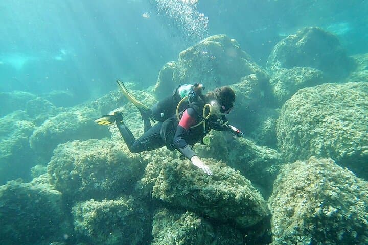 Discover Scuba Diving on Elba: Introductory Mediterranean Dives to 12m photo 3