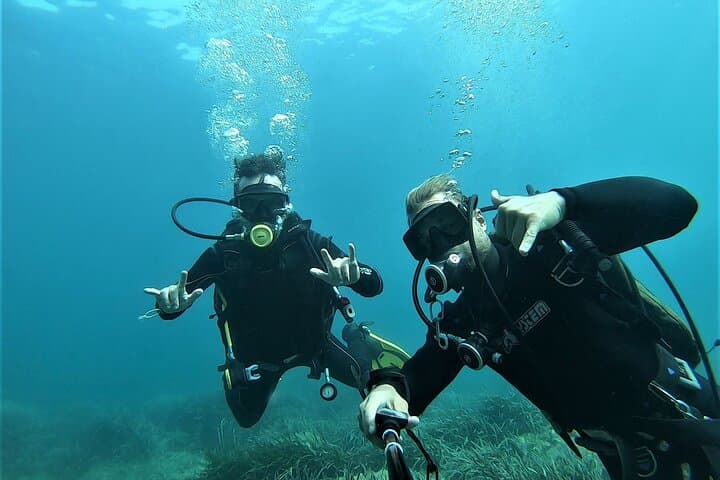 Discover Scuba Diving on Elba: Introductory Mediterranean Dives to 12m photo 4