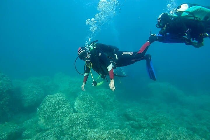Discover Scuba Diving on Elba: Introductory Mediterranean Dives to 12m photo 5