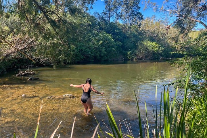 Newcastle Countryside Day Tour: Morpeth, Dungog & Allyn River Farm BBQ