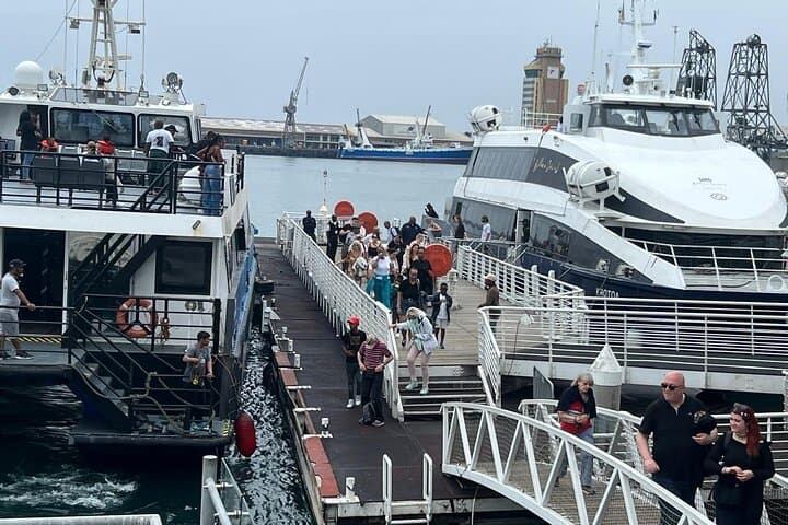 Private Robben Island Charter: Guided Tour from Cape Town