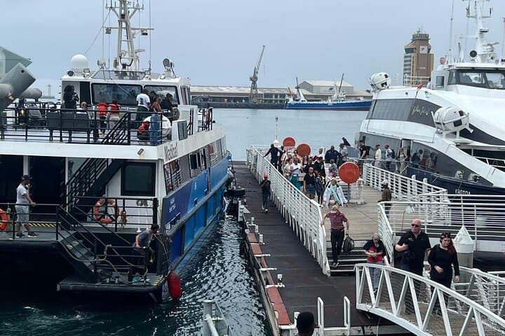 Robben Island Half-Day: Guided Ferry Tour from Cape Town with Hotel Pickup