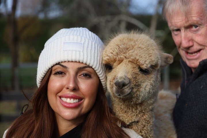 Fun Alpaca Farm Tour Near Christchurch — Feed, Cuddle & Explore photo 2