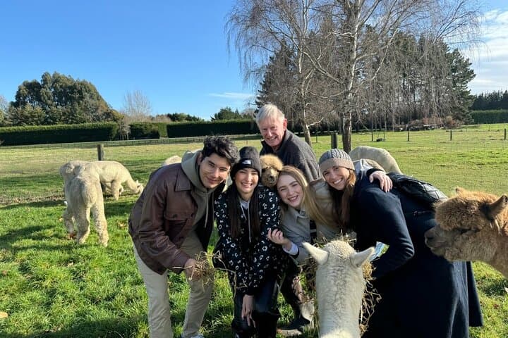Fun Alpaca Farm Tour Near Christchurch — Feed, Cuddle & Explore photo 5