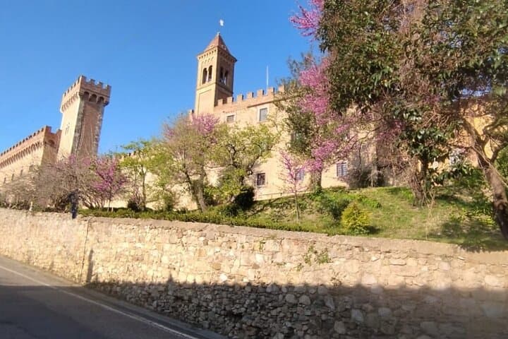 Florence to Bolgheri Private Minivan Tour — Volterra, Cypress Road & Wine Tasting