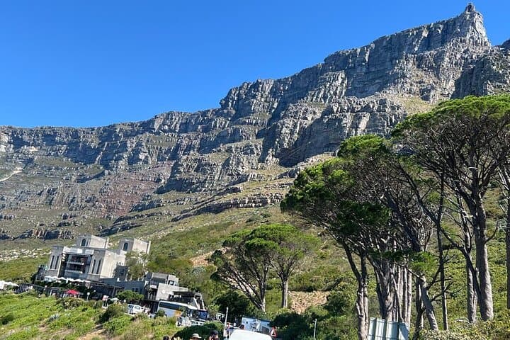 Table Mountain Cable Car Tour: Half-Day Summit Experience from Cape Town