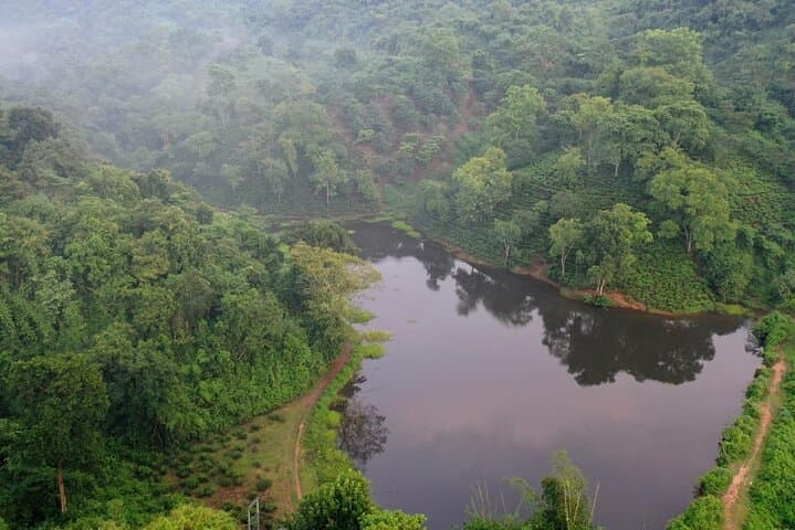 Guwahati Tea Garden Tour: Amchong Estate Guided Walk, Factory Visit & Farm Lunch photo 3