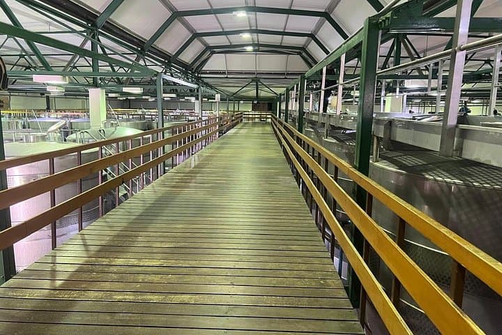 Stellenbosch & Franschhoek Tram Wine Tour: Hop-On Hop-Off Tasting Experience photo 4