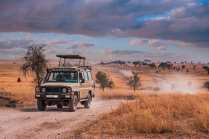 Fly-In Day Safari to Selous (Nyerere) from Zanzibar — Full-Day Game Drive & Bush Lunch photo 2