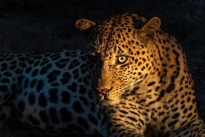 Fly-In Day Safari to Selous (Nyerere) from Zanzibar — Full-Day Game Drive & Bush Lunch photo 3