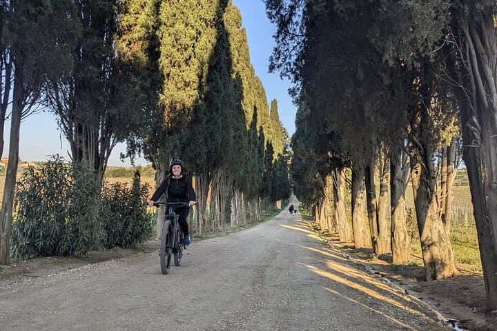 E-Bike Through Frascati Vineyards: Train Ride and Wine Tasting from Rome