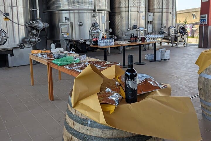 E-Bike Through Frascati Vineyards: Train Ride and Wine Tasting from Rome photo 3
