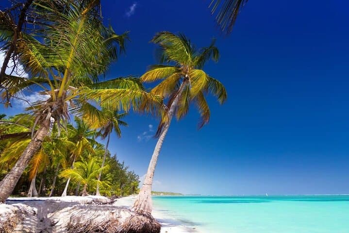 Saona Island Catamaran & Speedboat Day Trip — Bayahibe to the Natural Pool photo 2