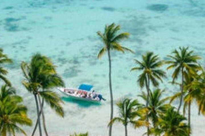 Saona Island Catamaran & Speedboat Day Trip — Bayahibe to the Natural Pool photo 4