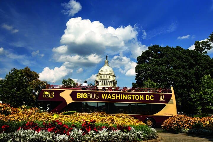 Best of DC: Big Bus Hop-on Hop-off + Monuments Night Tour photo 2