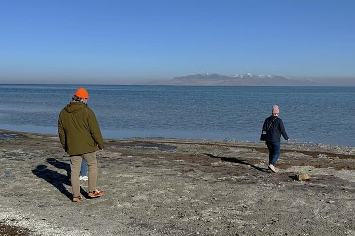 Exploring Antelope Island: Private Tour of Wildlife and Great Salt Lake Adventure photo 3