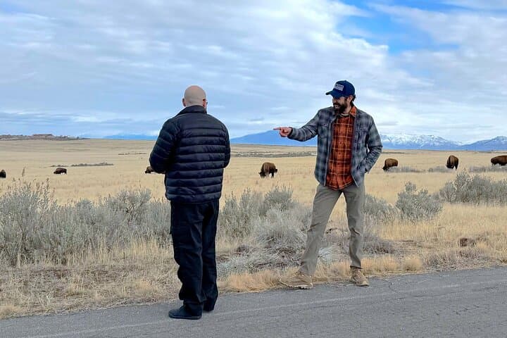 Exploring Antelope Island: Private Tour of Wildlife and Great Salt Lake Adventure