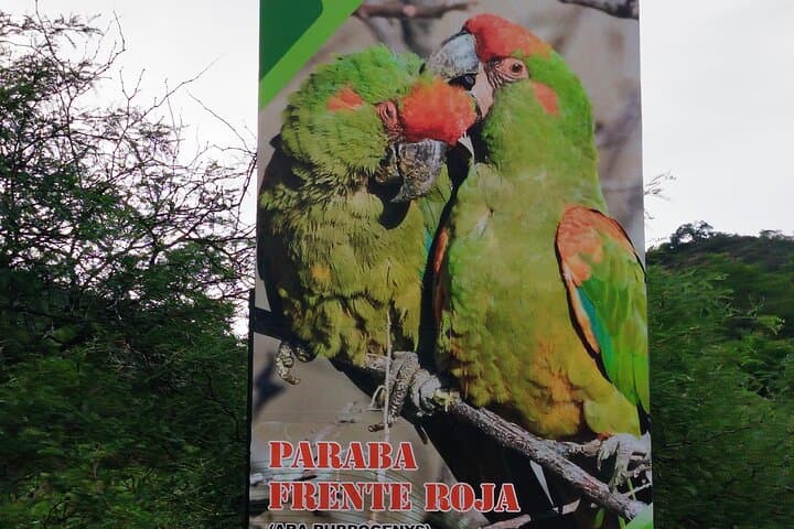 Monte Villca Hike from Sucre: Explore Quechua Trails and Birdwatching photo 6