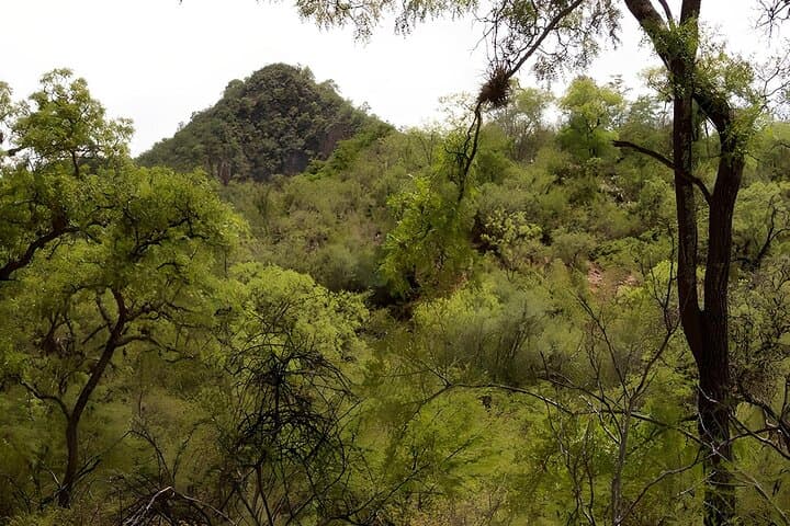 Monte Villca Hike from Sucre: Explore Quechua Trails and Birdwatching photo 2