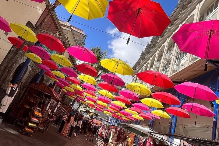 Private North Mauritius Day Tour: Port Louis Markets, Botanical Garden & Cultural Sights photo 3