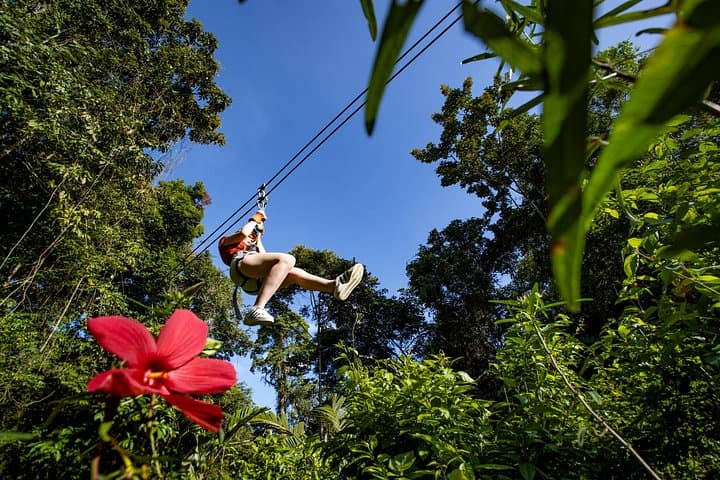 Canopy Zipline Adventure at Veragua Rainforest: 11-Platform Tour Over Pristine Caribbean Jungle photo 1