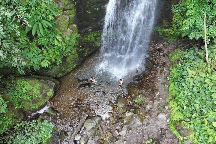 Hiking Mtirala National Park: Rainforest Trails, Waterfalls & Ajara Culture Near Batumi photo 3