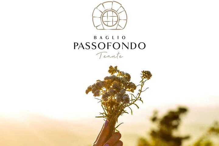Poolside Serenity at Tenute Baglio Passofondo: Sicilian Countryside Relaxation photo 2