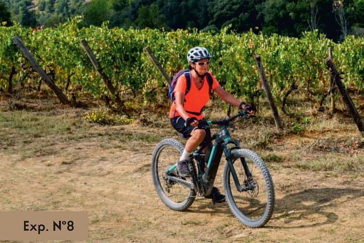 E-Bike Ride and Tasting in Alcamo: Sicilian Vineyards & Olive Groves photo 1